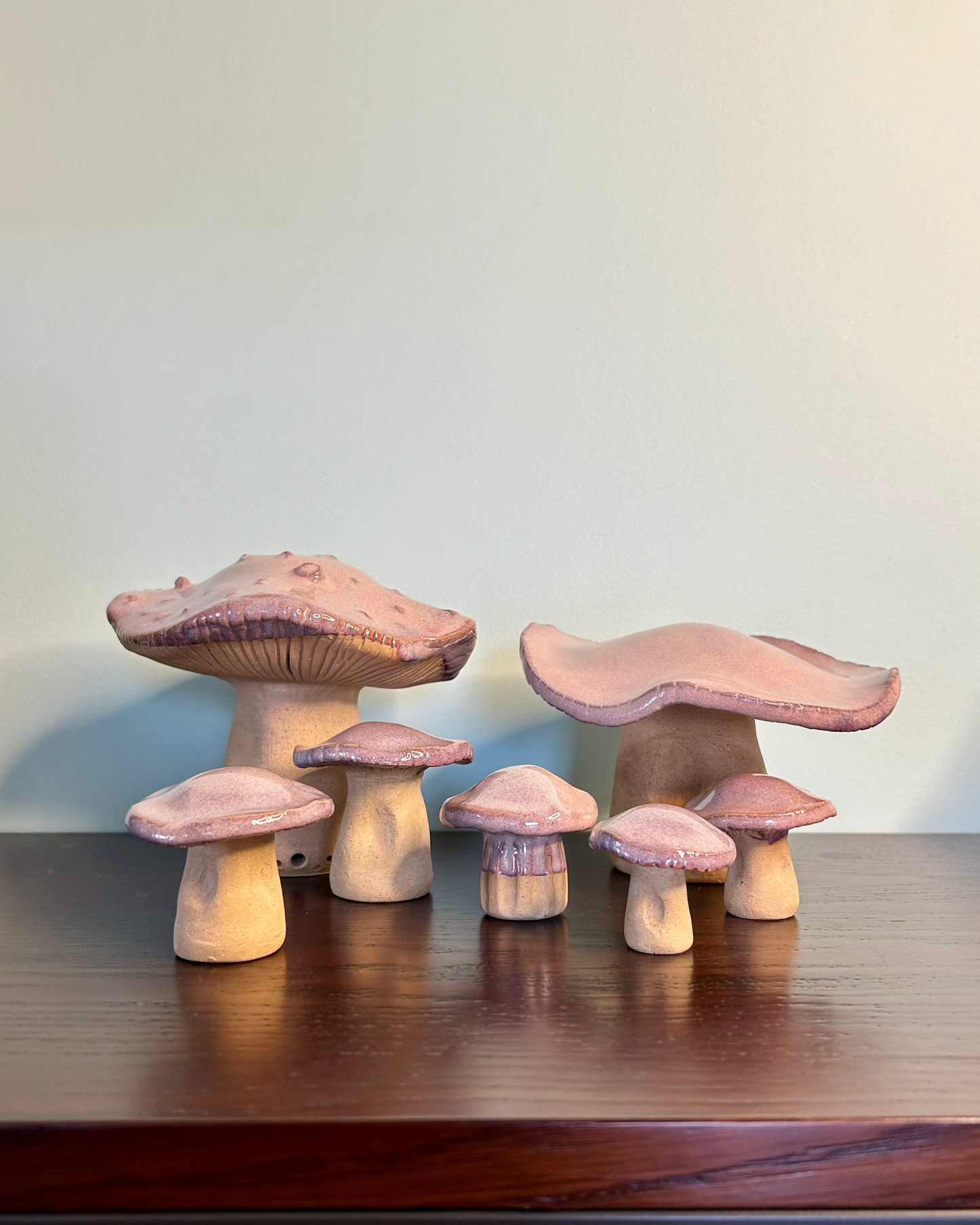 Wild Mushrooms