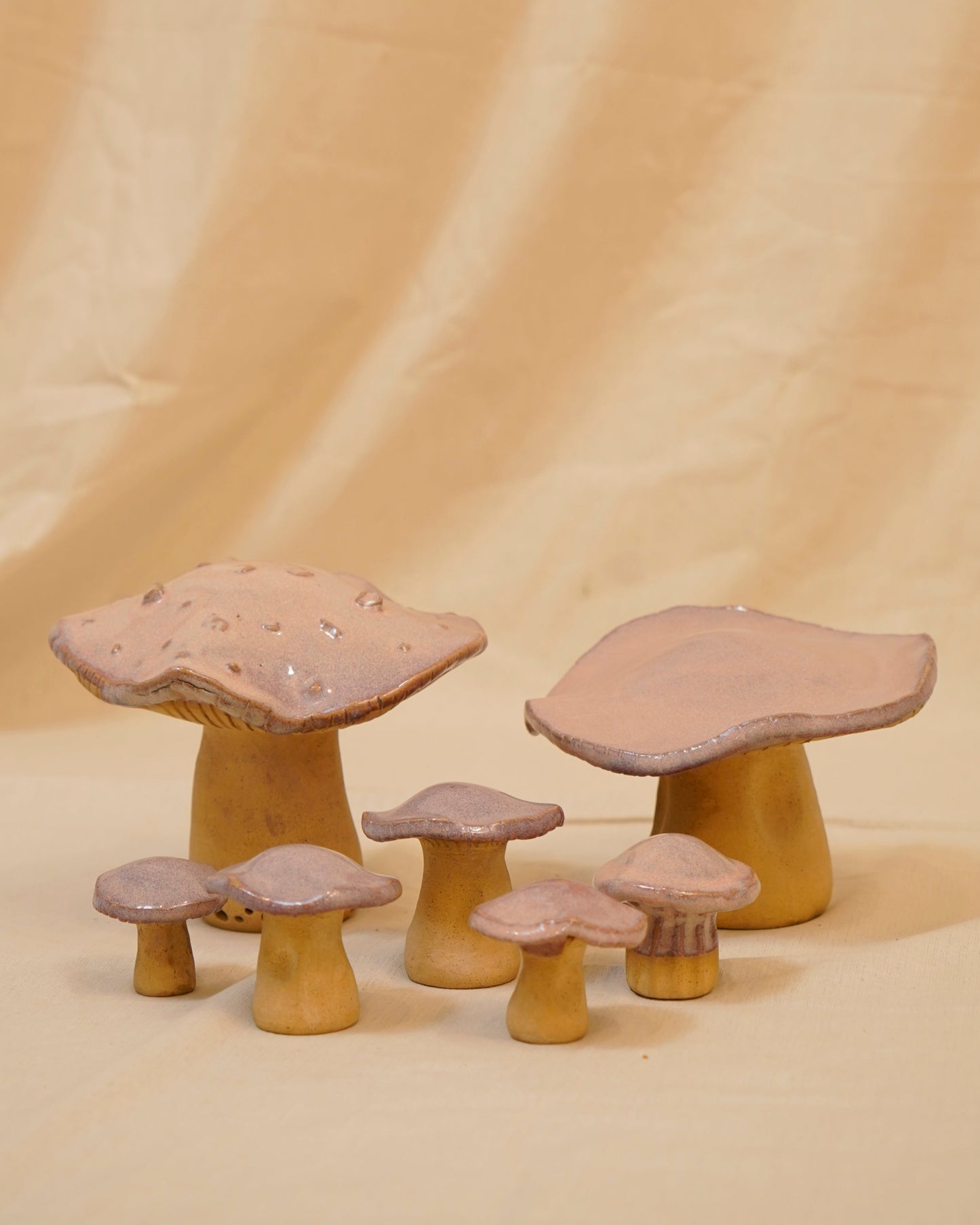 Wild Mushrooms