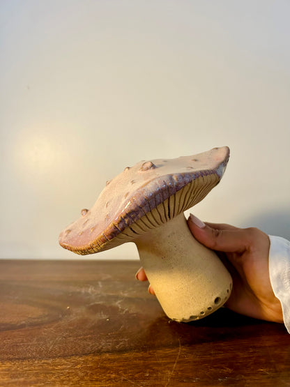 Wild Mushrooms Sculptures - set of 7