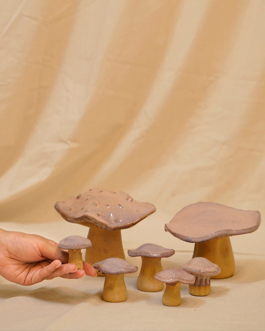 Wild Mushrooms